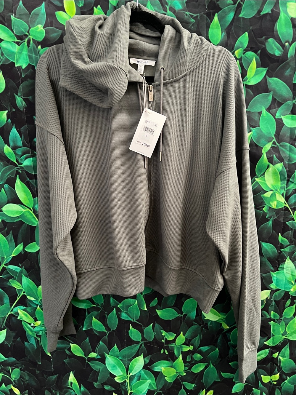Splendid Olive Zip-Up Hooded Sweatshirt